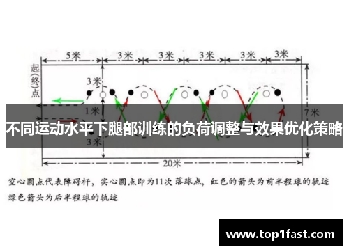 不同运动水平下腿部训练的负荷调整与效果优化策略